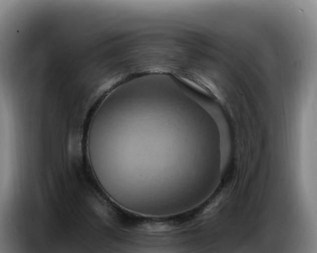 X0000086750299200704201730