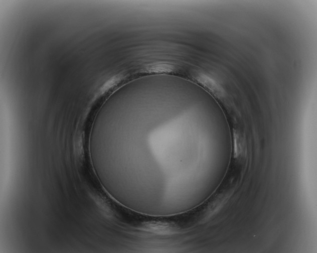 X0000086750300200704201730