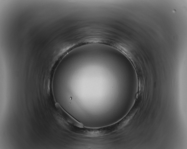 X0000086750301200704201730