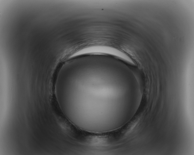 X0000086750303200704201730