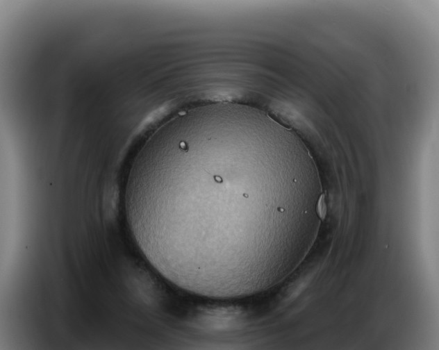 X0000086750304200704201730