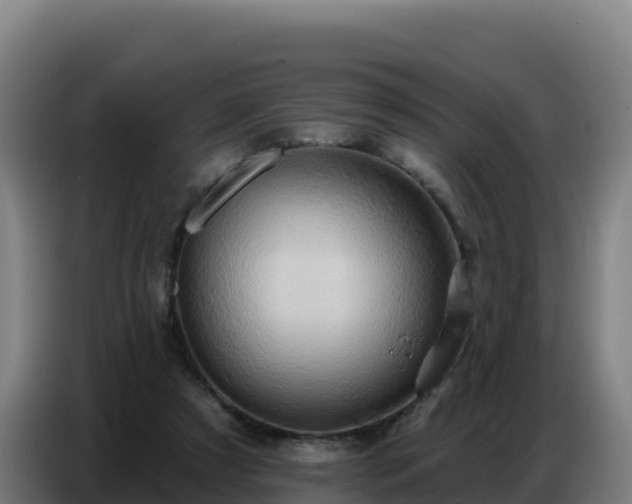 X0000086750305200704201730