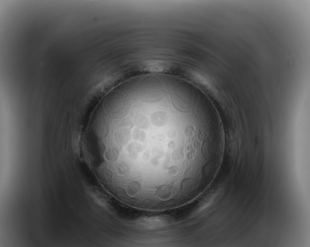 X0000086750307200704201730