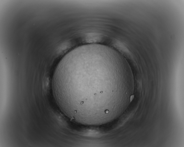 X0000086750308200704201730