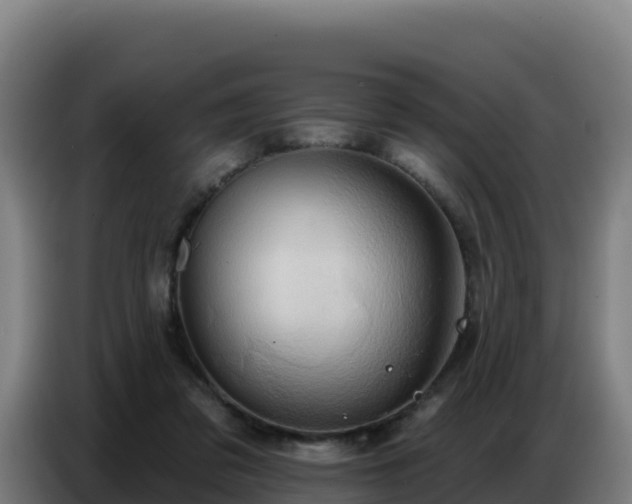 X0000086750309200704201730