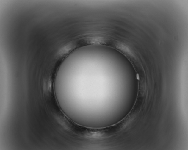 X0000086750310200704201730