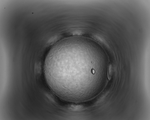 X0000086750311200704201730