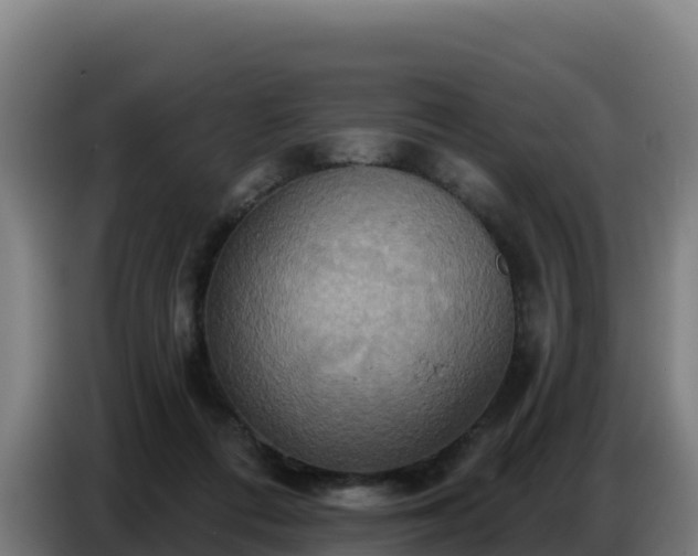 X0000086750312200704201730