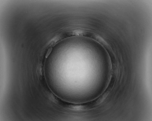 X0000086750313200704201730