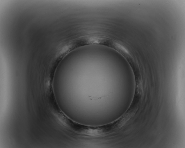 X0000086750314200704201730