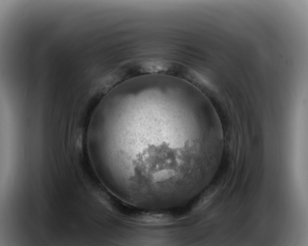 X0000086750315200704201730