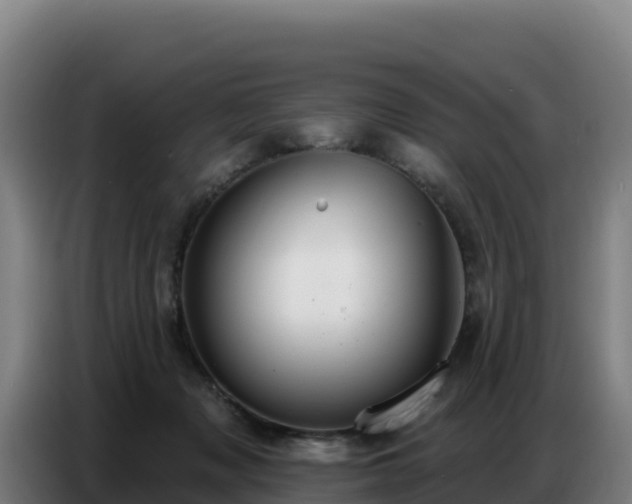 X0000086750317200704201730