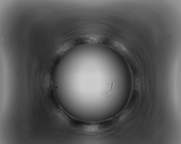 X0000086750318200704201730