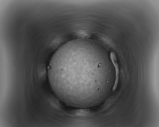 X0000086750320200704201730