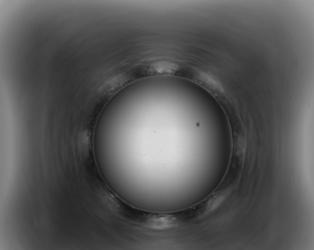 X0000086750321200704201730