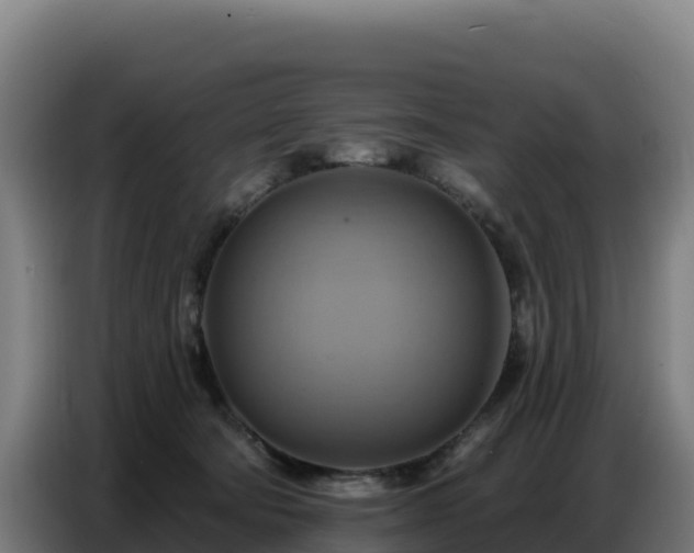 X0000086750322200704201730