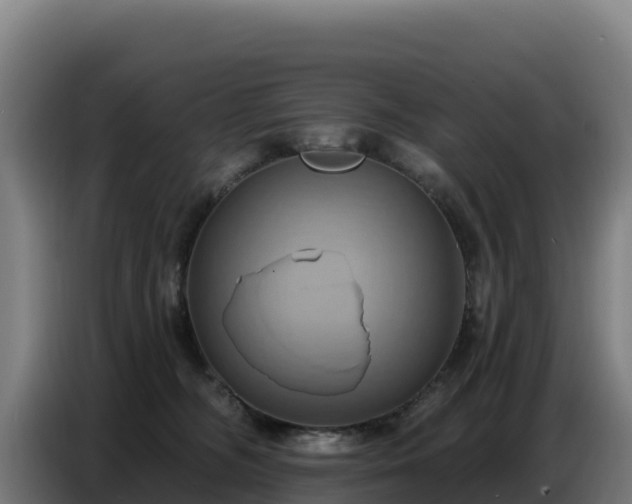 X0000086750326200704201730