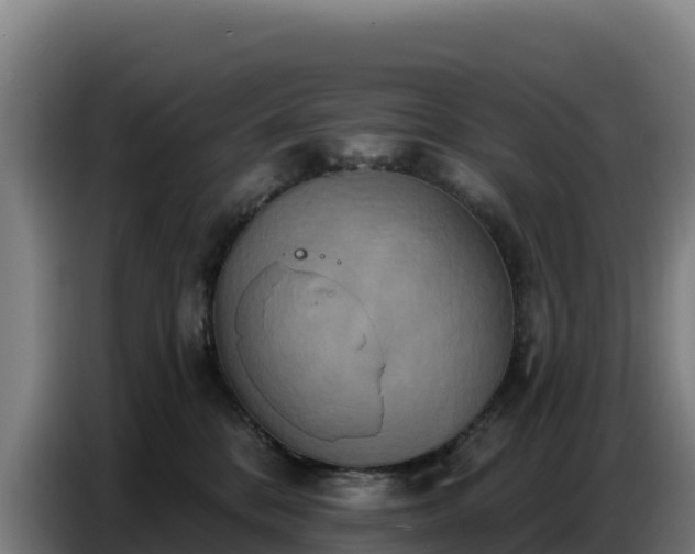 X0000086750328200704201730