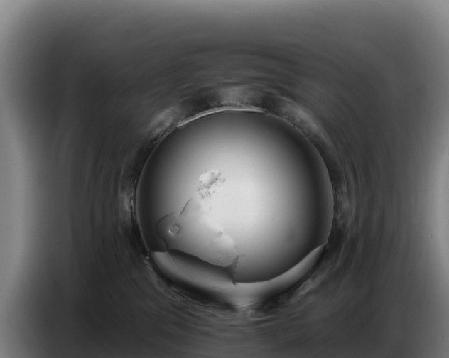 X0000086750329200704201730