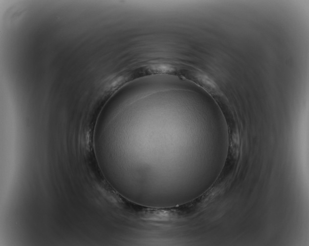 X0000086750330200704201730