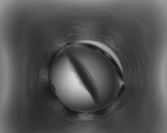 X0000086750331200704201730