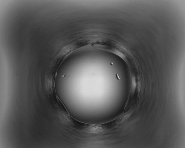 X0000086750333200704201730