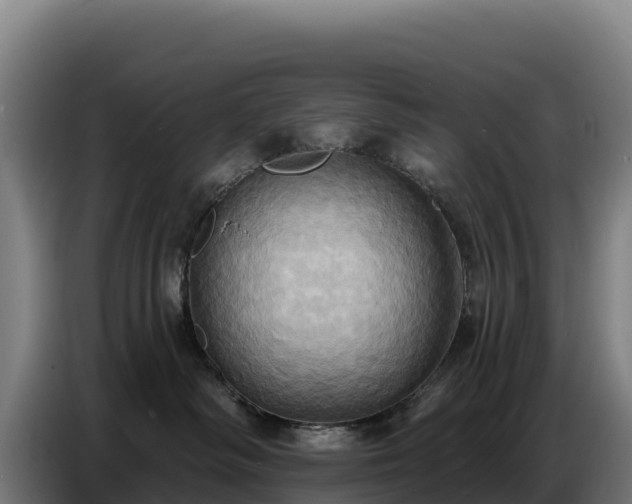 X0000086750334200704201730