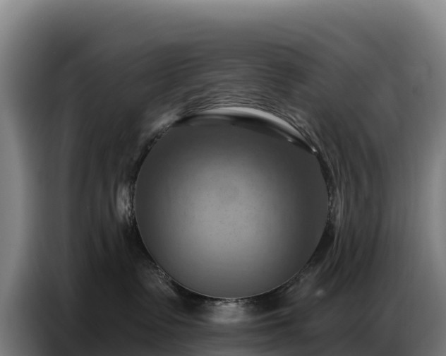 X0000086750335200704201730