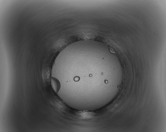 X0000086750336200704201730