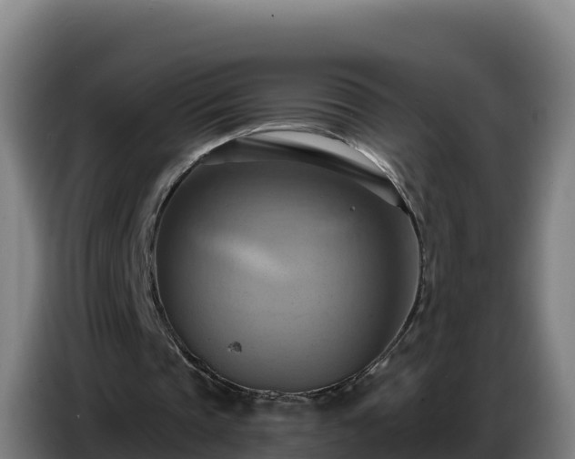 X0000086750337200704201729