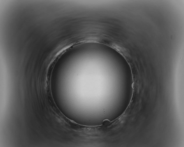 X0000086750338200704201729