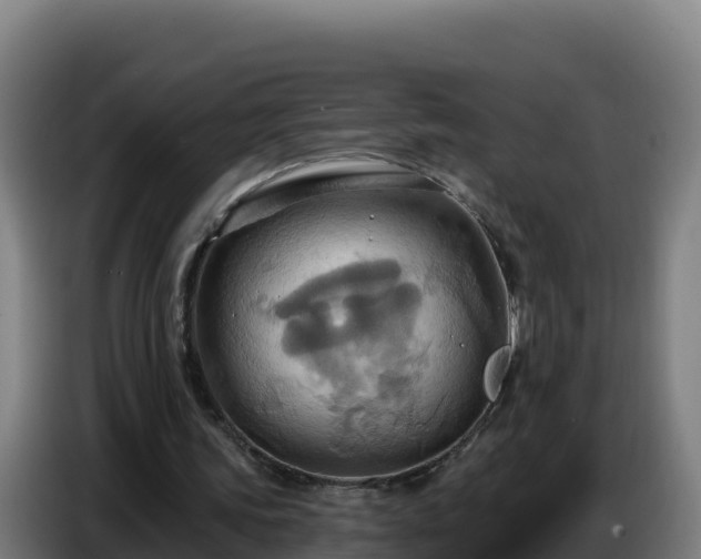 X0000086750339200704201729