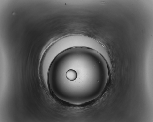 X0000086750340200704201729