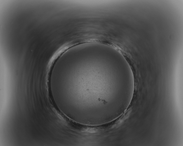 X0000086750341200704201729