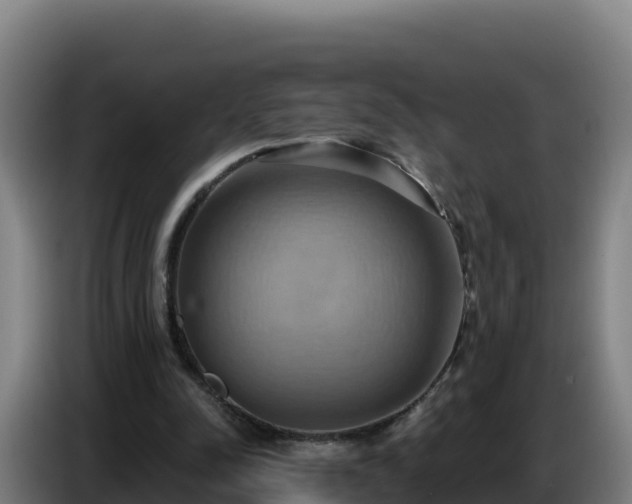 X0000086750342200704201729