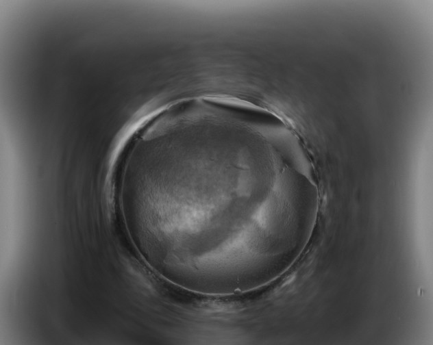 X0000086750343200704201729