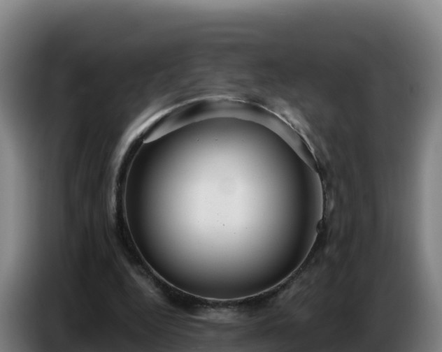 X0000086750344200704201729