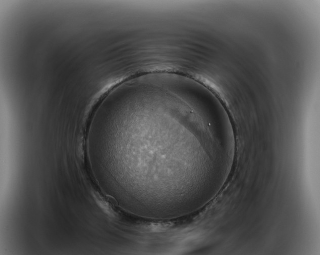 X0000086750345200704201729