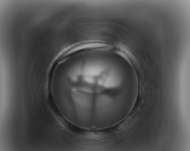 X0000086750346200704201729