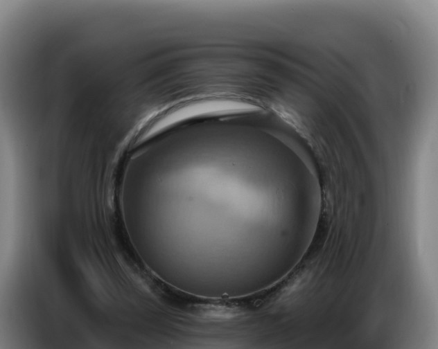 X0000086750347200704201729