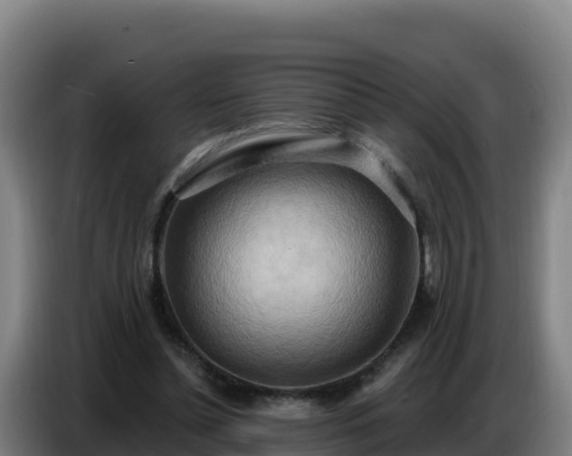 X0000086750348200704201729