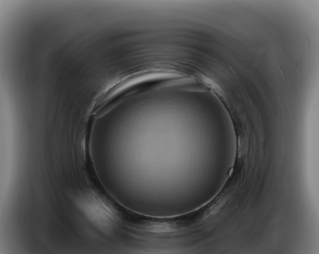 X0000086750349200704201729