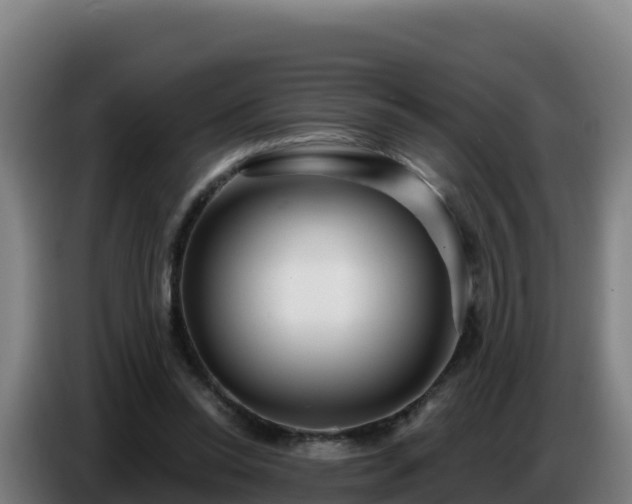 X0000086750350200704201729