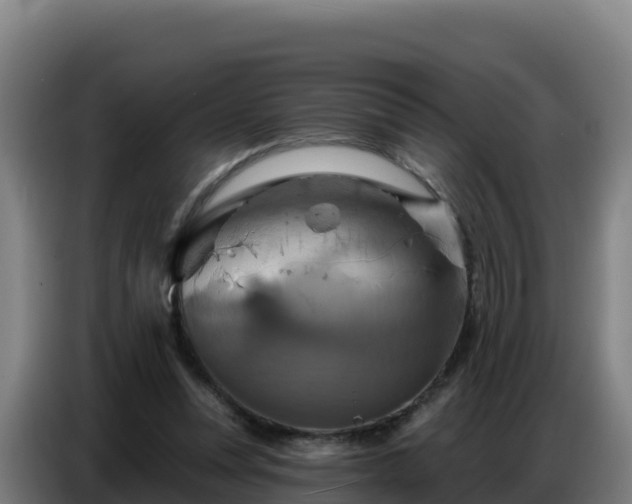 X0000086750351200704201729