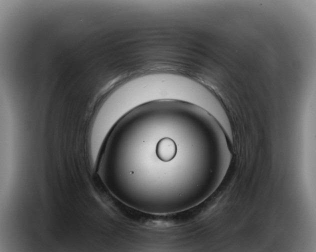 X0000086750352200704201729