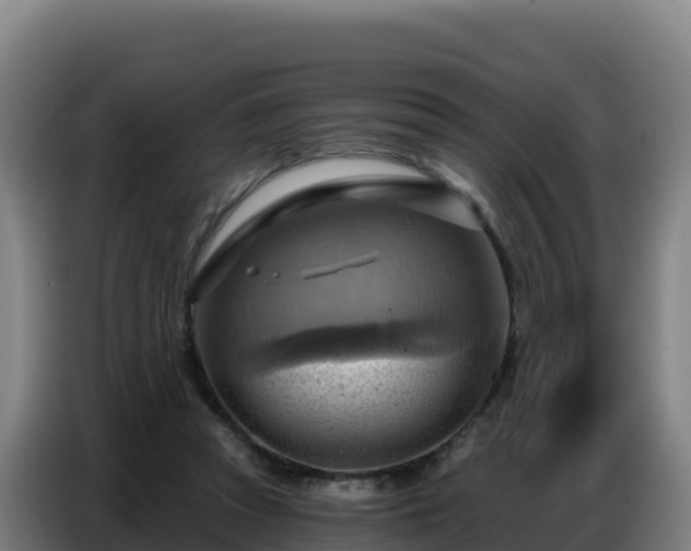 X0000086750353200704201729