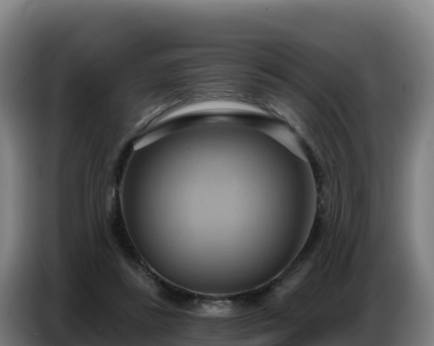 X0000086750355200704201730