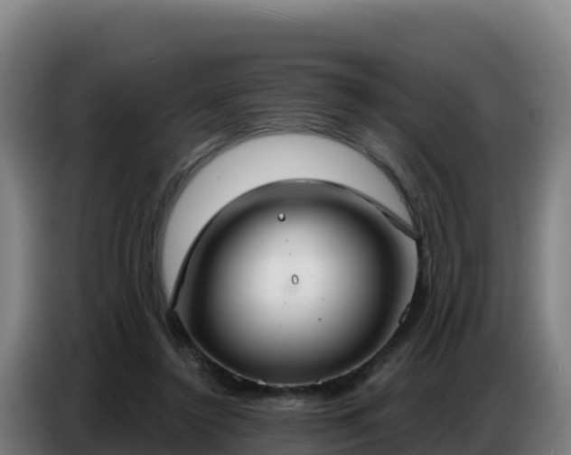 X0000086750356200704201730