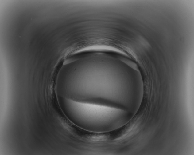 X0000086750357200704201730