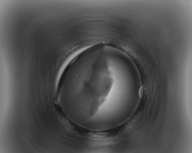 X0000086750359200704201730